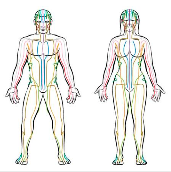 Screen Shot 2019-07-11 at 10.48.36 PM